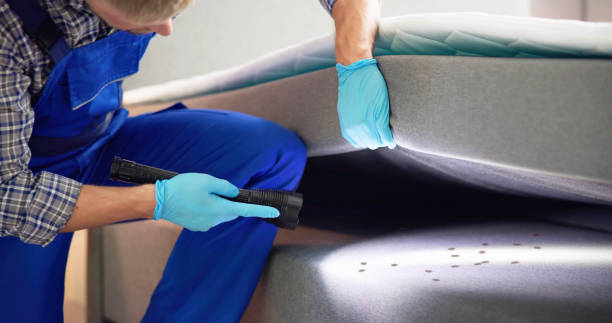 Best Wasp Removal Services  in Peru, IN