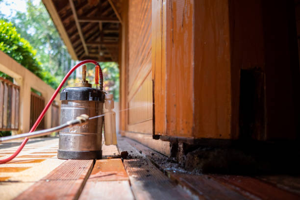 Best Insect Control  in Peru, IN