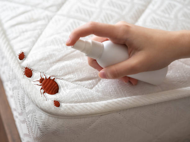 Best Exterminator Services  in Peru, IN