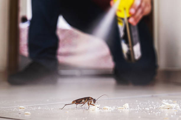 Best Best Pest Control Companies  in Peru, IN