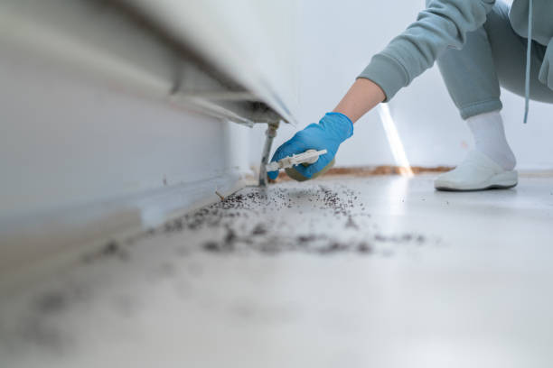 Trusted Peru, IN Pest Control Experts